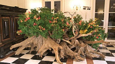 Thumbnail for Flowers Season 1 Episode 4