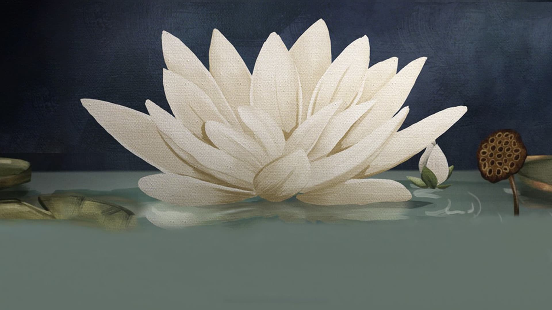 The White Lotus Gallery Image