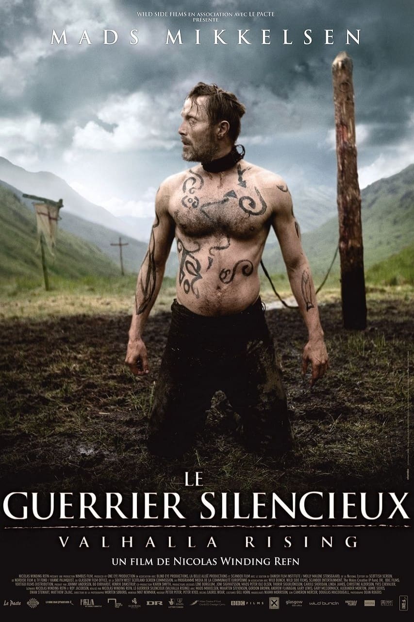 Affiche du film Le Guerrier silencieux 29501