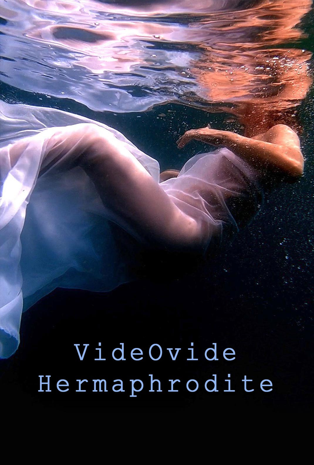 VideOvide Hermaphrodite
