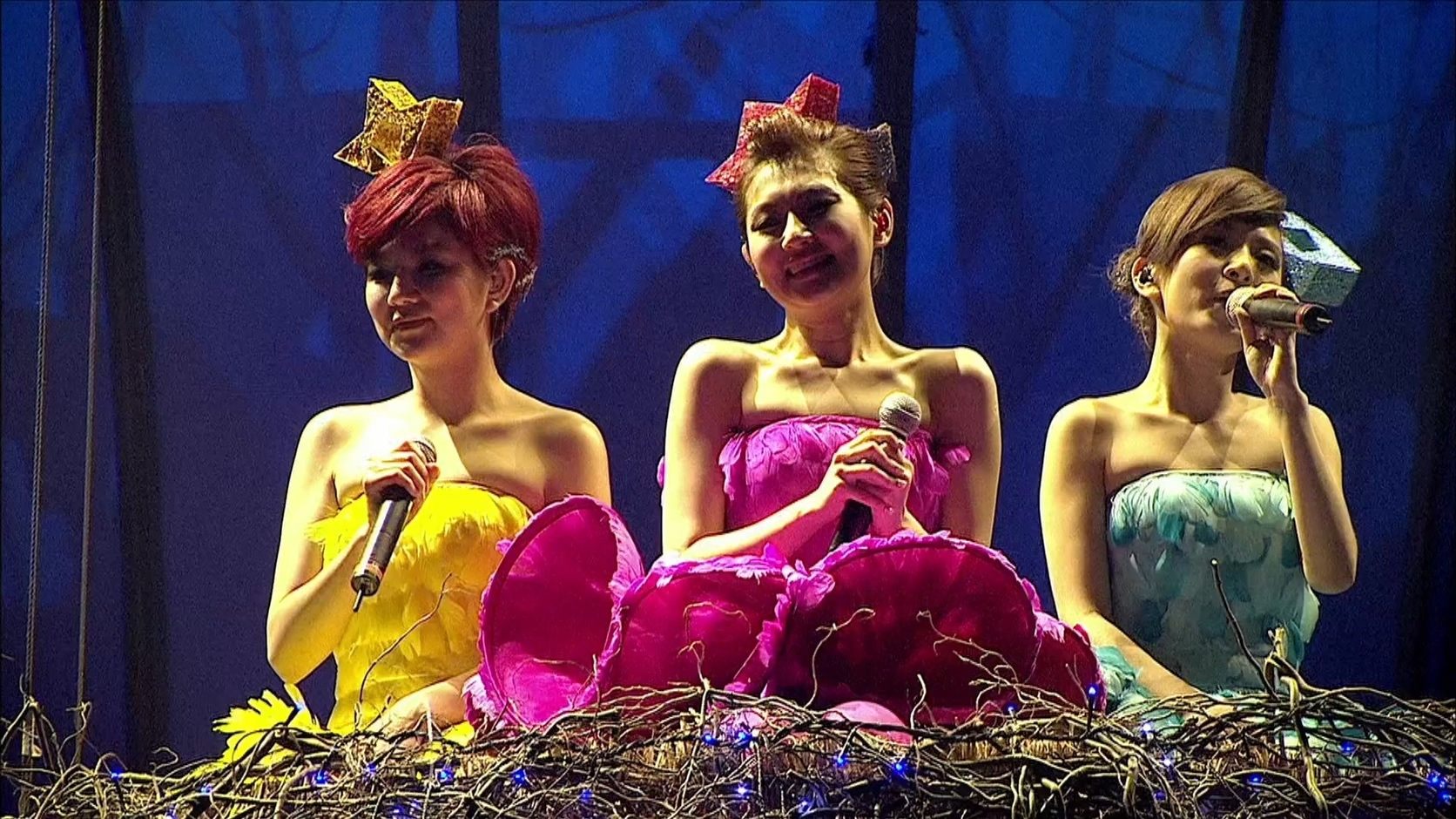 Imagem do Filme S.H.E Is The One Tour Live 2010