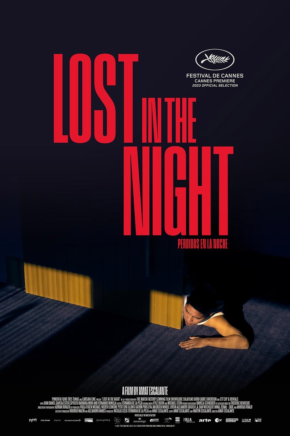Lost in the Night