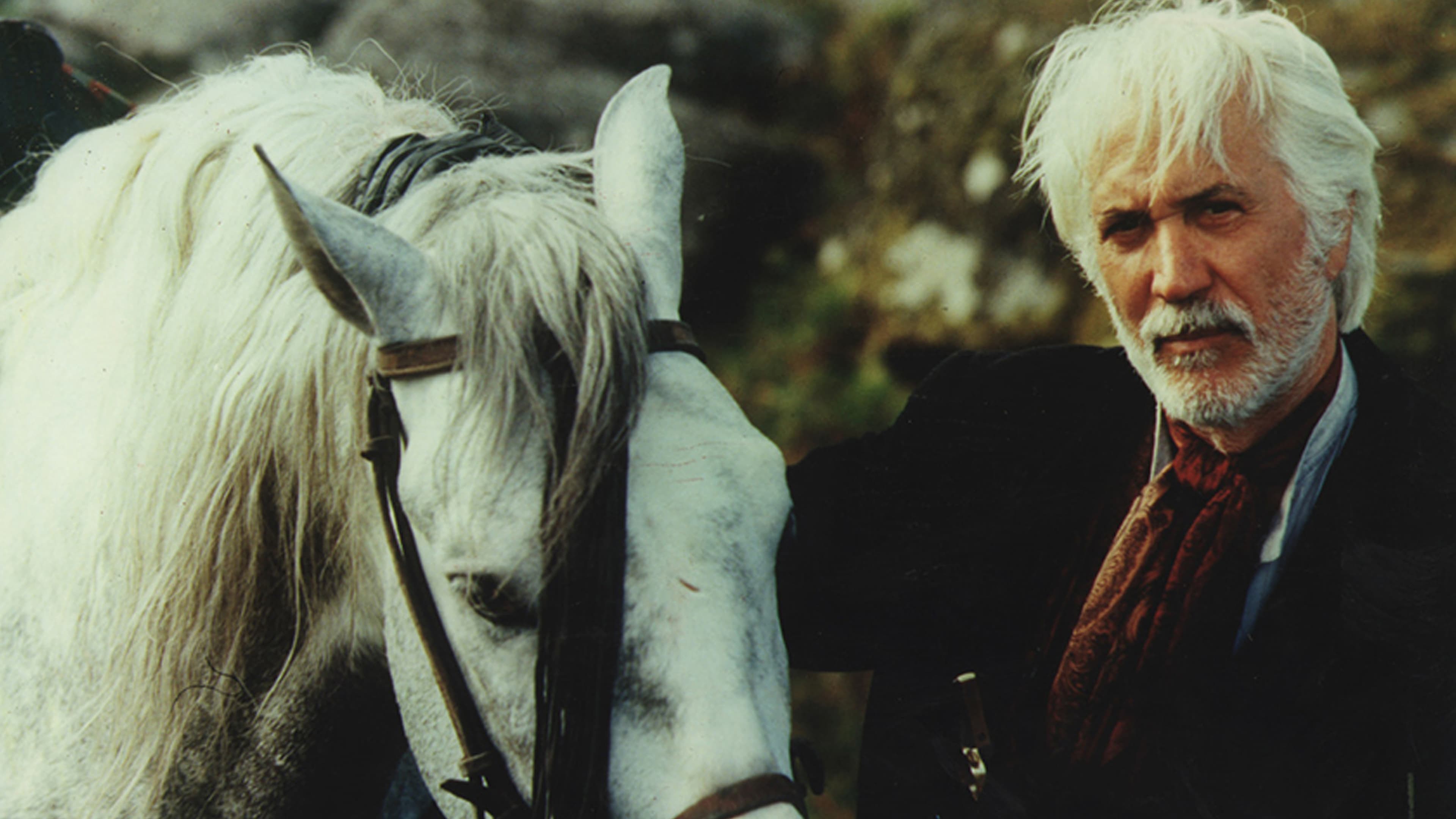 The Frontier Law (1995)