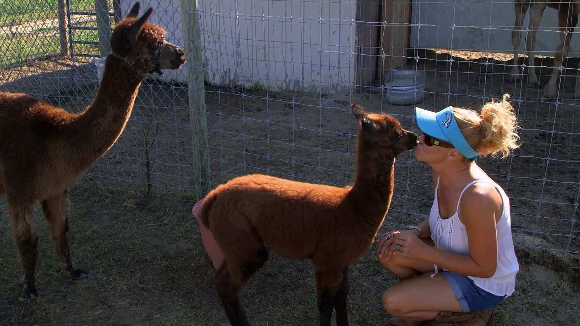 Thumbnail for Welcome to the Family Season 1 Episode 1