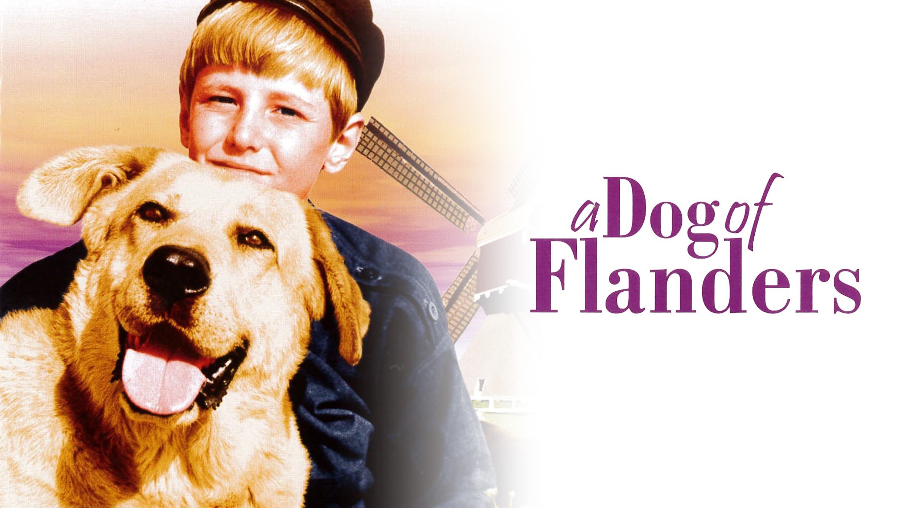 A Dog of Flanders (1959)