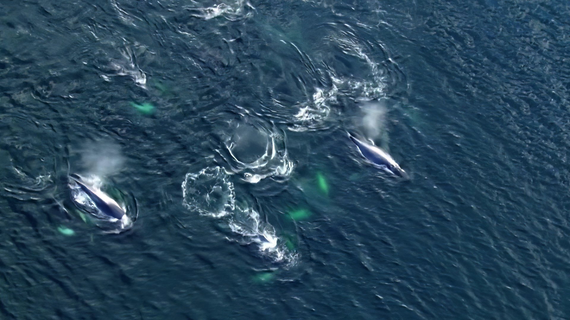 Earth Odyssey with Dylan Dreyer S04E23 backdrop