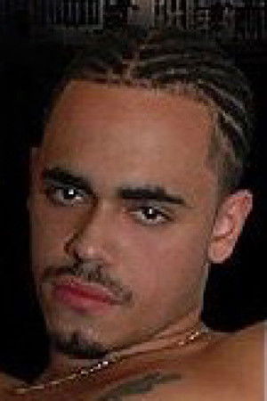 et billede af Latin Stallion