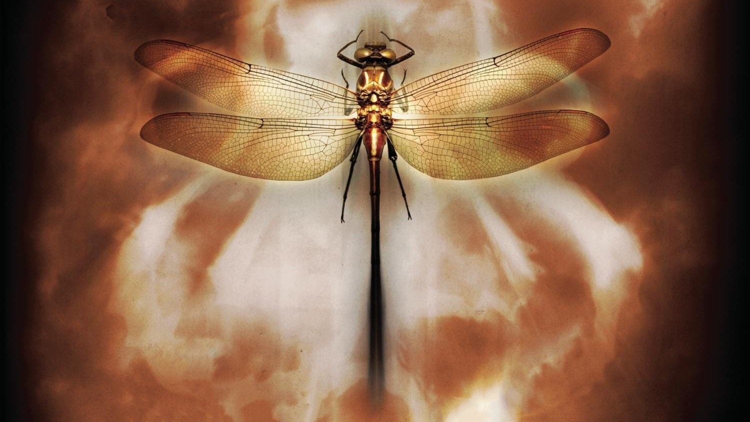 Coheed and Cambria: Neverender (2009)