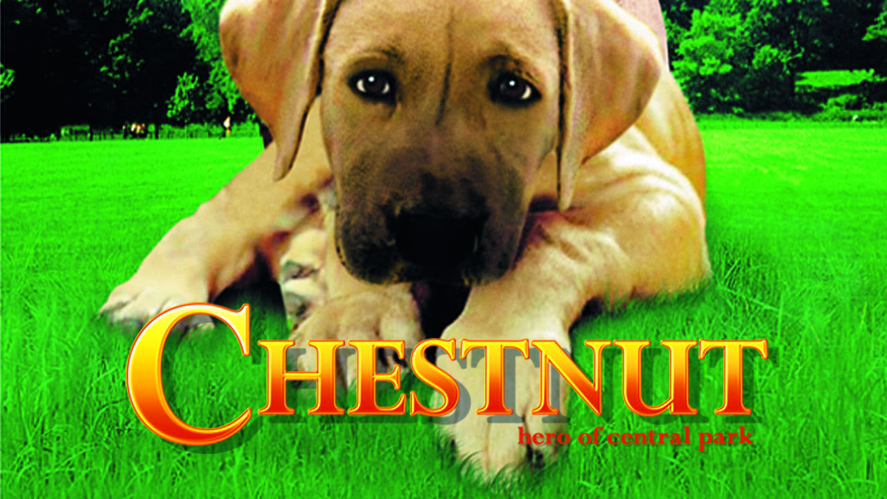 Chestnut: El héroe de Central Park