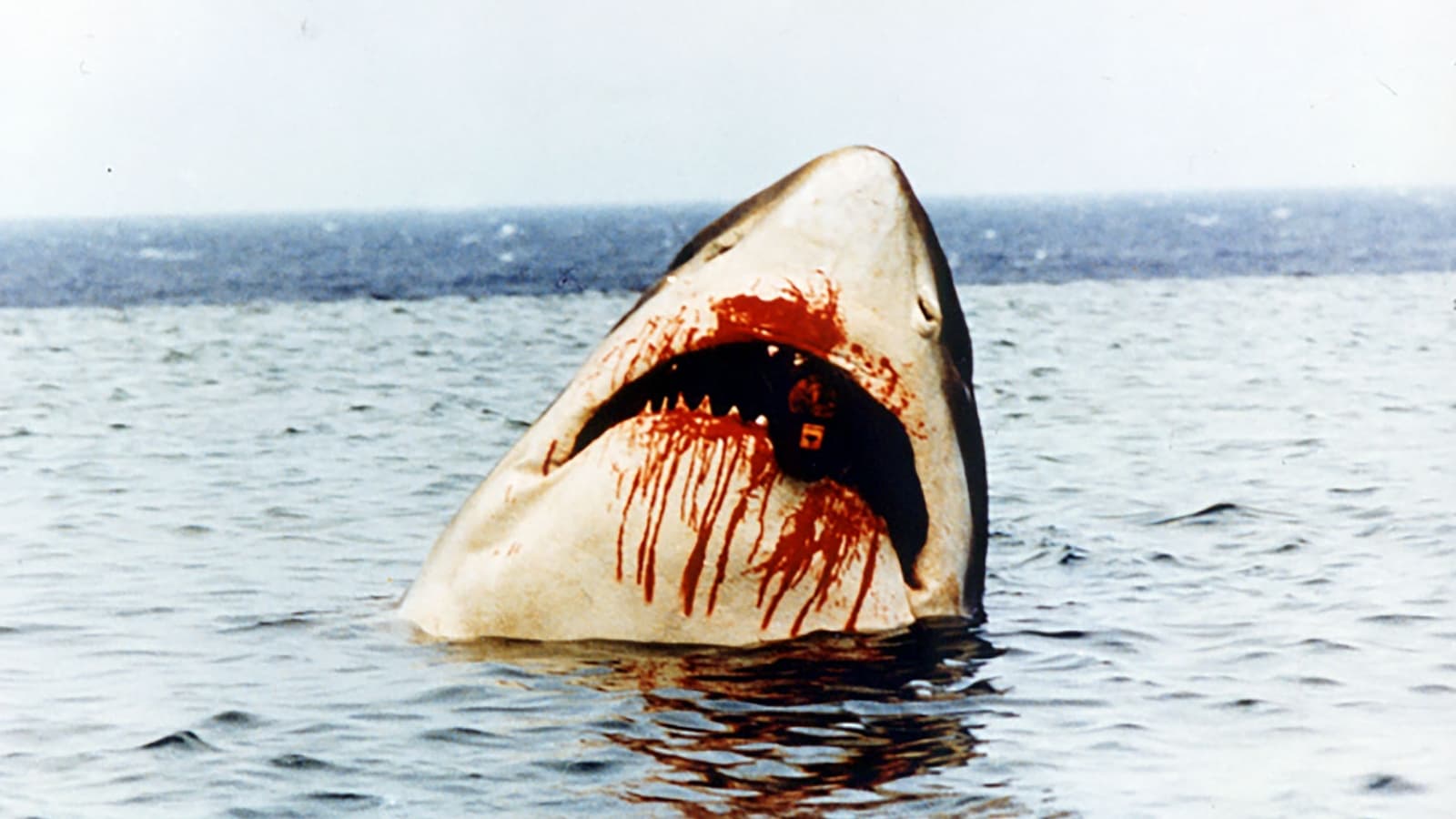 Az emberevő cápa (1995)