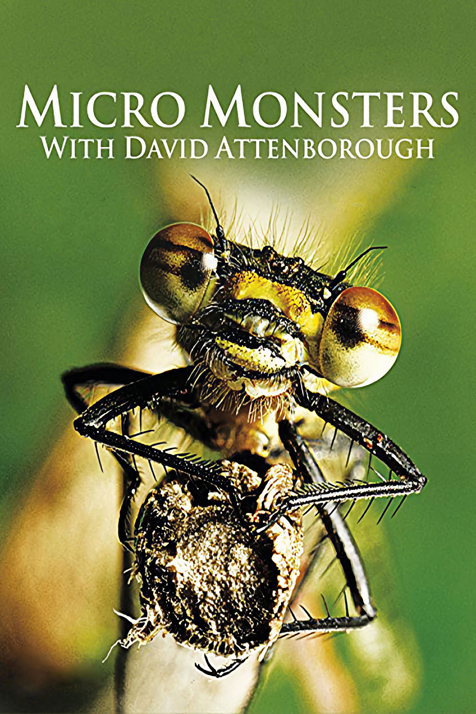 Micro Monsters with David Attenborough - Season 1
