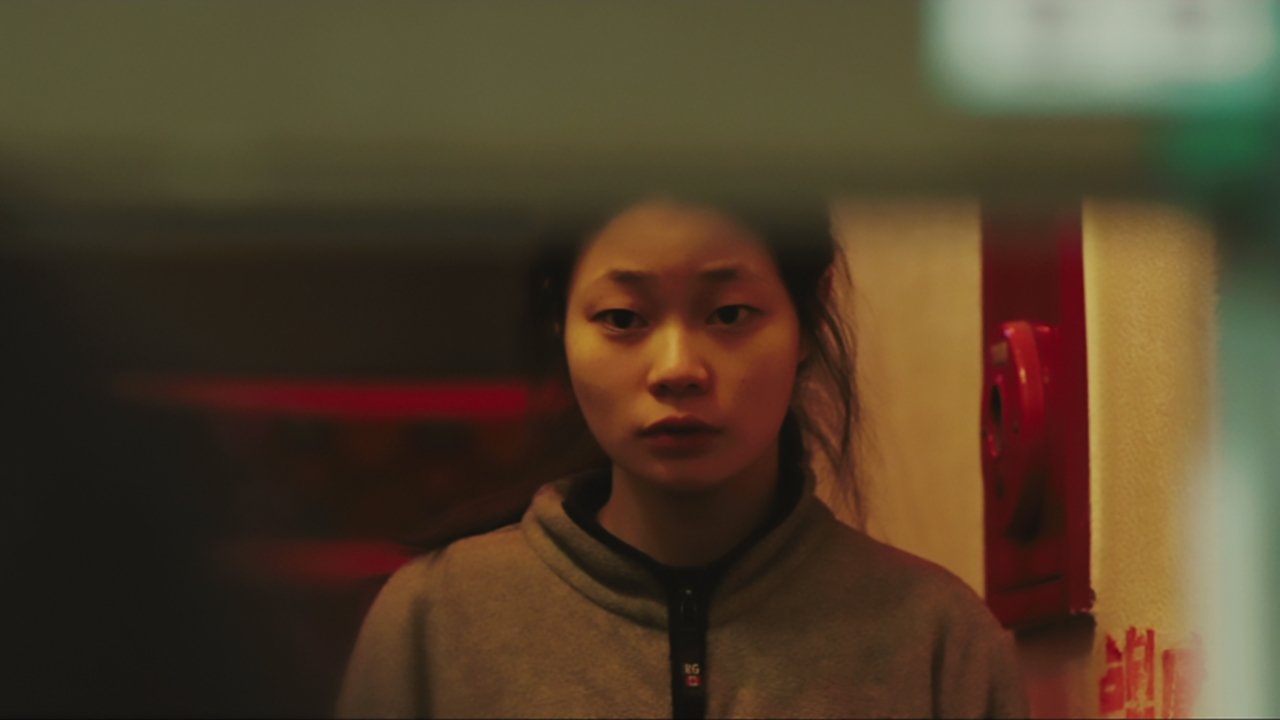 Wild Flowers (2014)