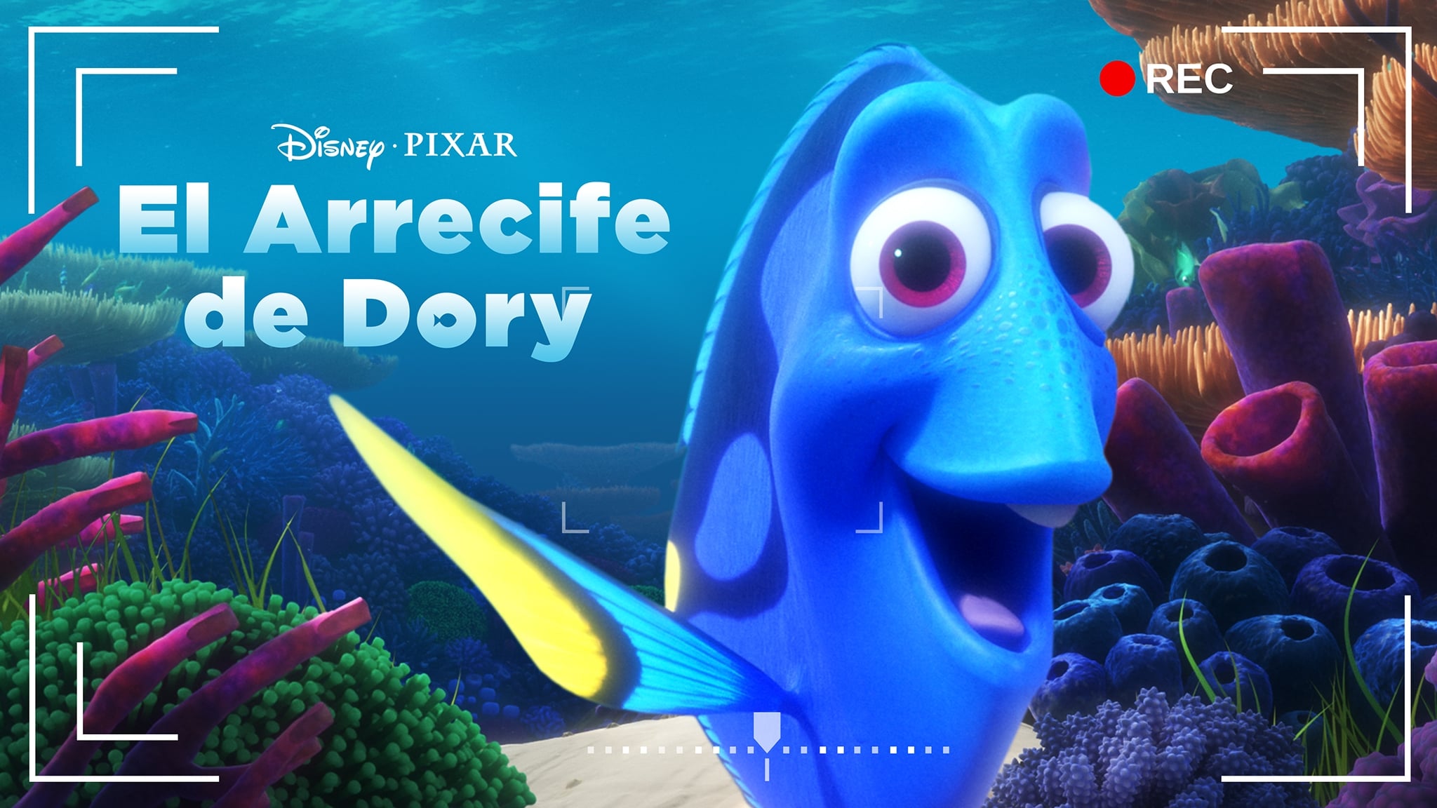 Dory's Reef Cam