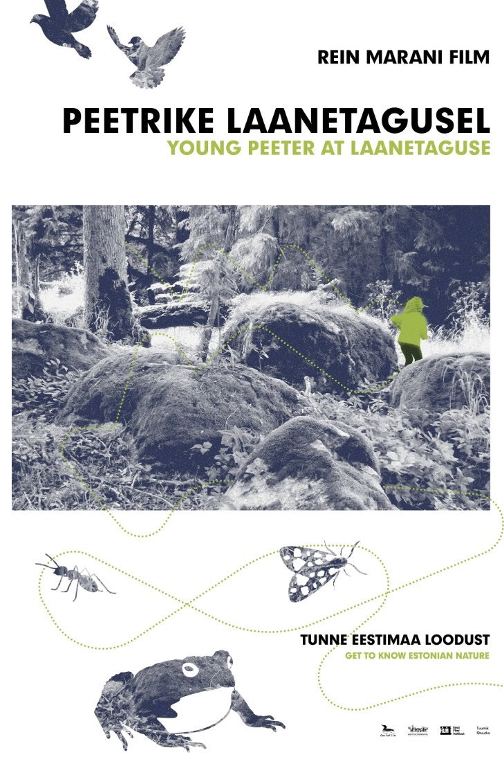 Young Peeter At Laanetaguse