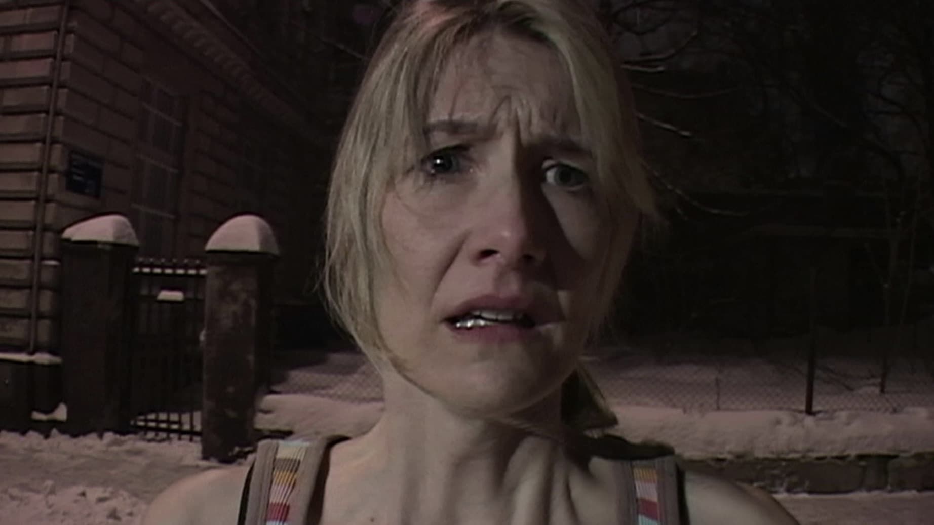 Inland Empire (2006)