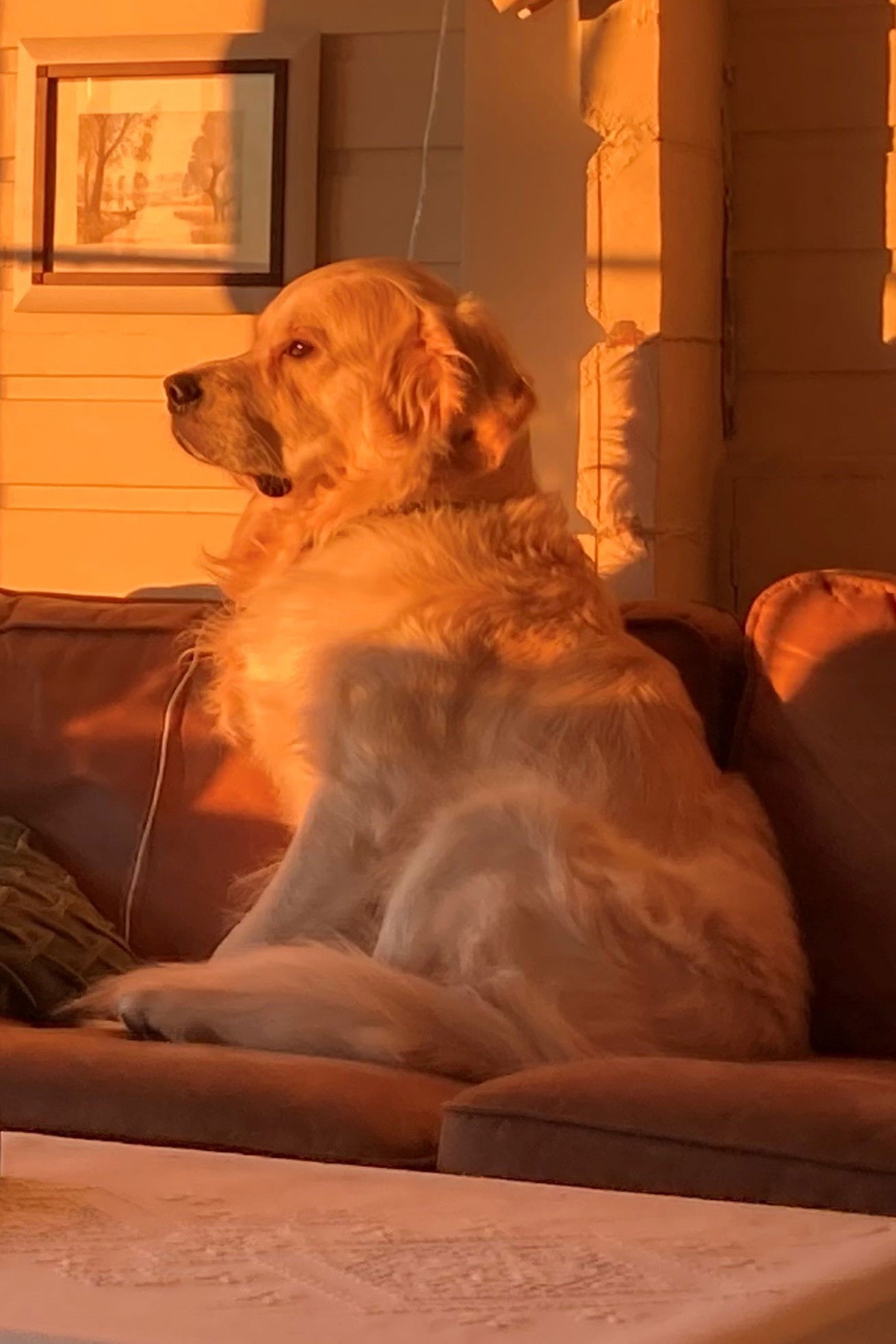 et billede af Caspian