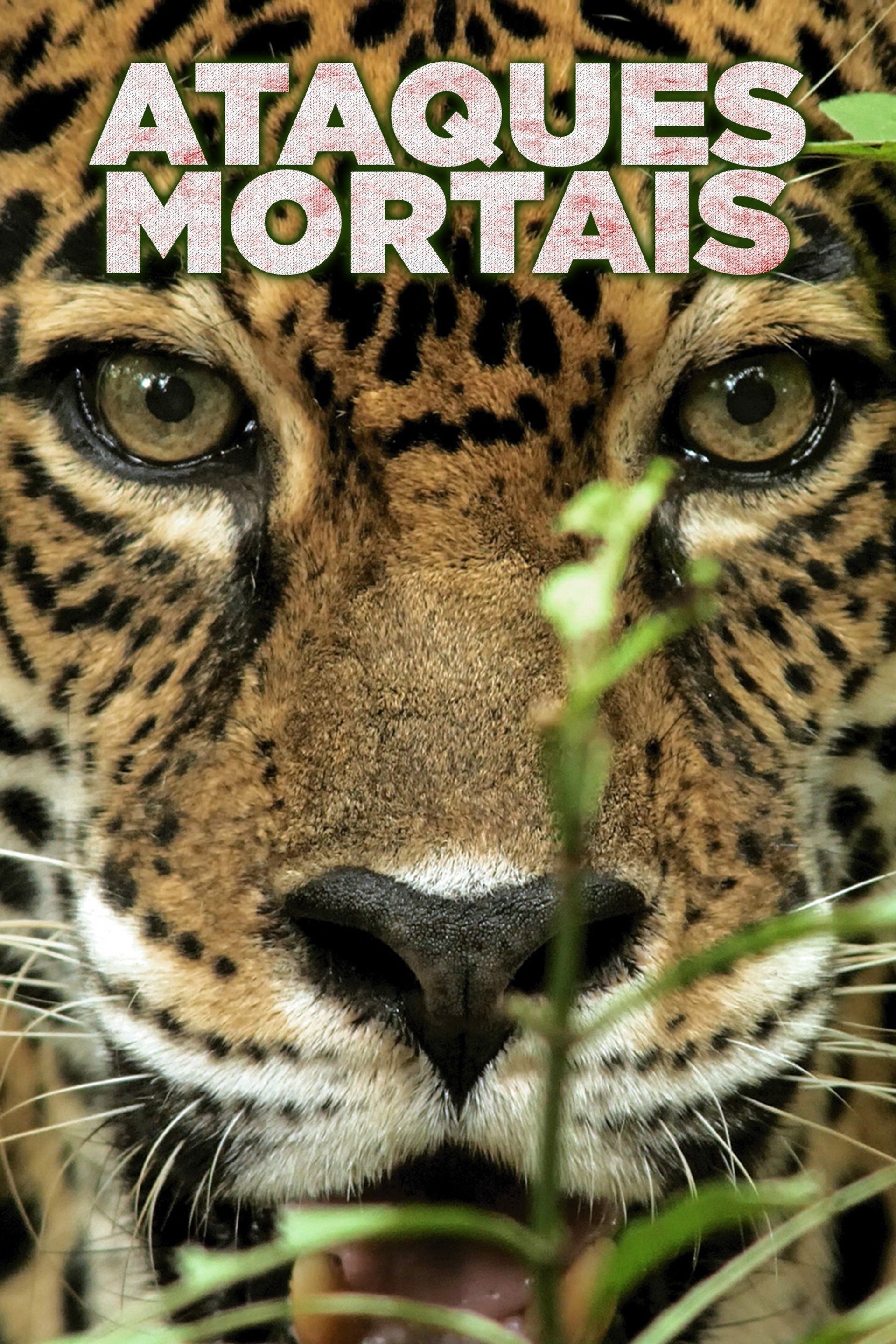 Ataques Mortais Ataques Mortais