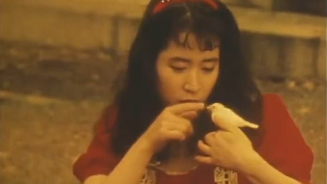 The First Love