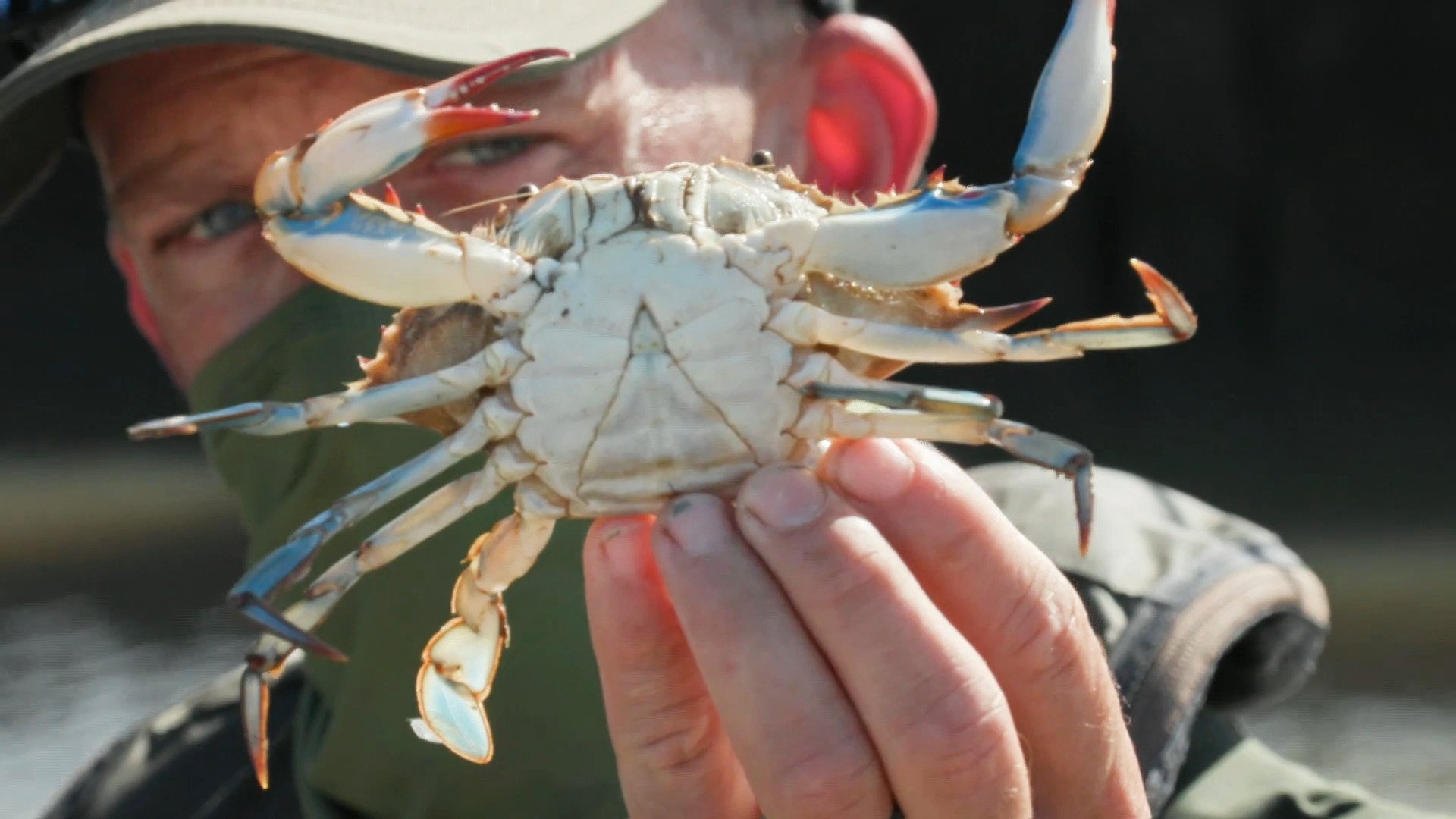 Thumbnail for Monster Crabber Season 1 Episode 1