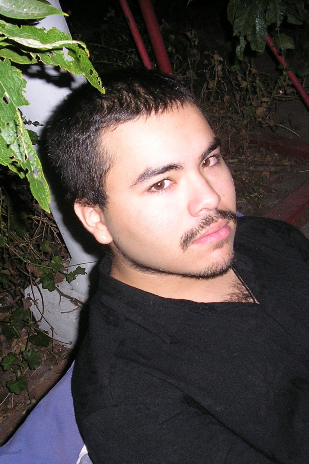 Et billede af Vicente Tasso