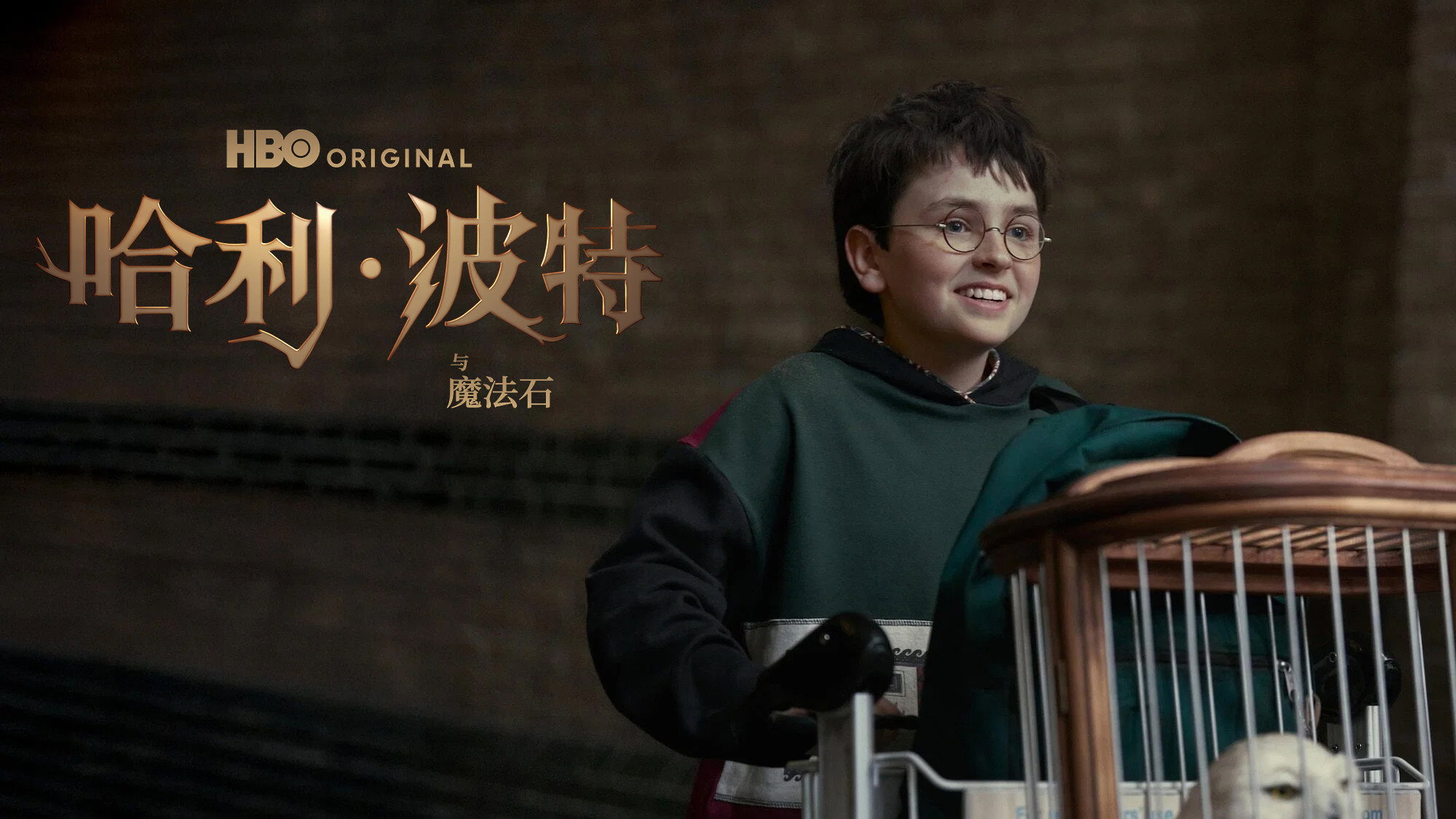Harry Potter backdrop