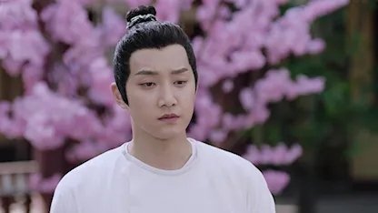 Qing Qing Zi Jin