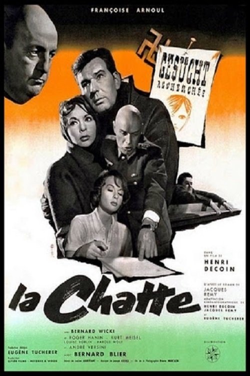 Affiche du film La Chatte 137144