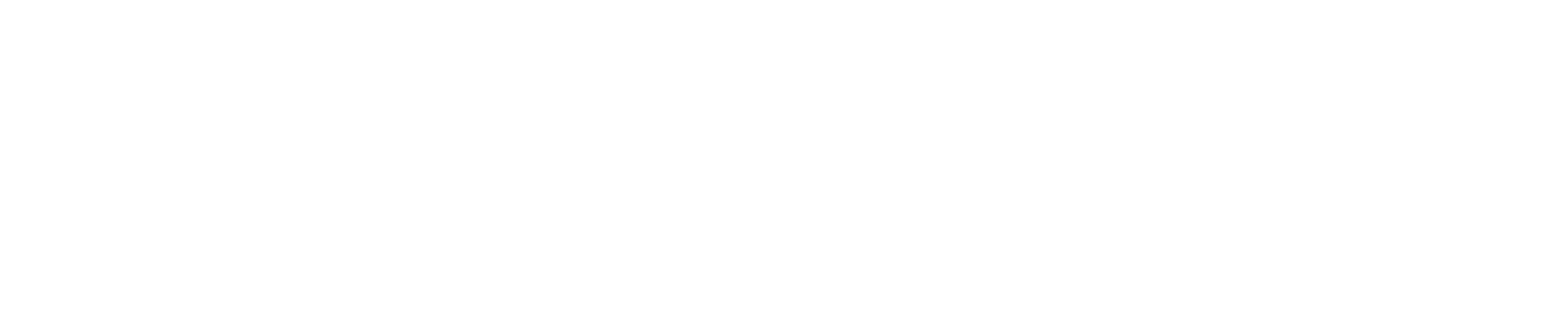 Nolly Logo