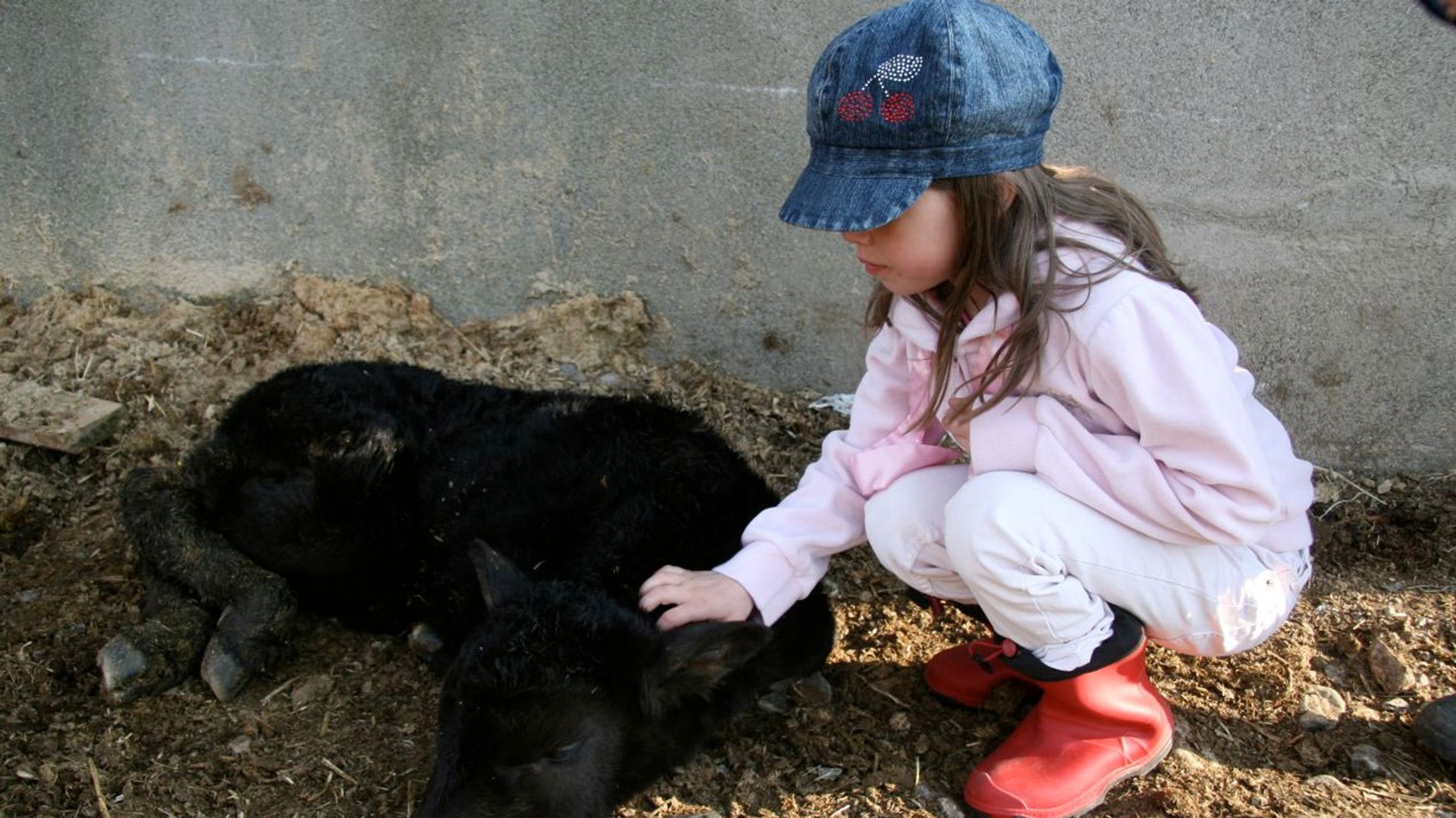 Thumbnail for Episode 1 Season 1 Episode 1