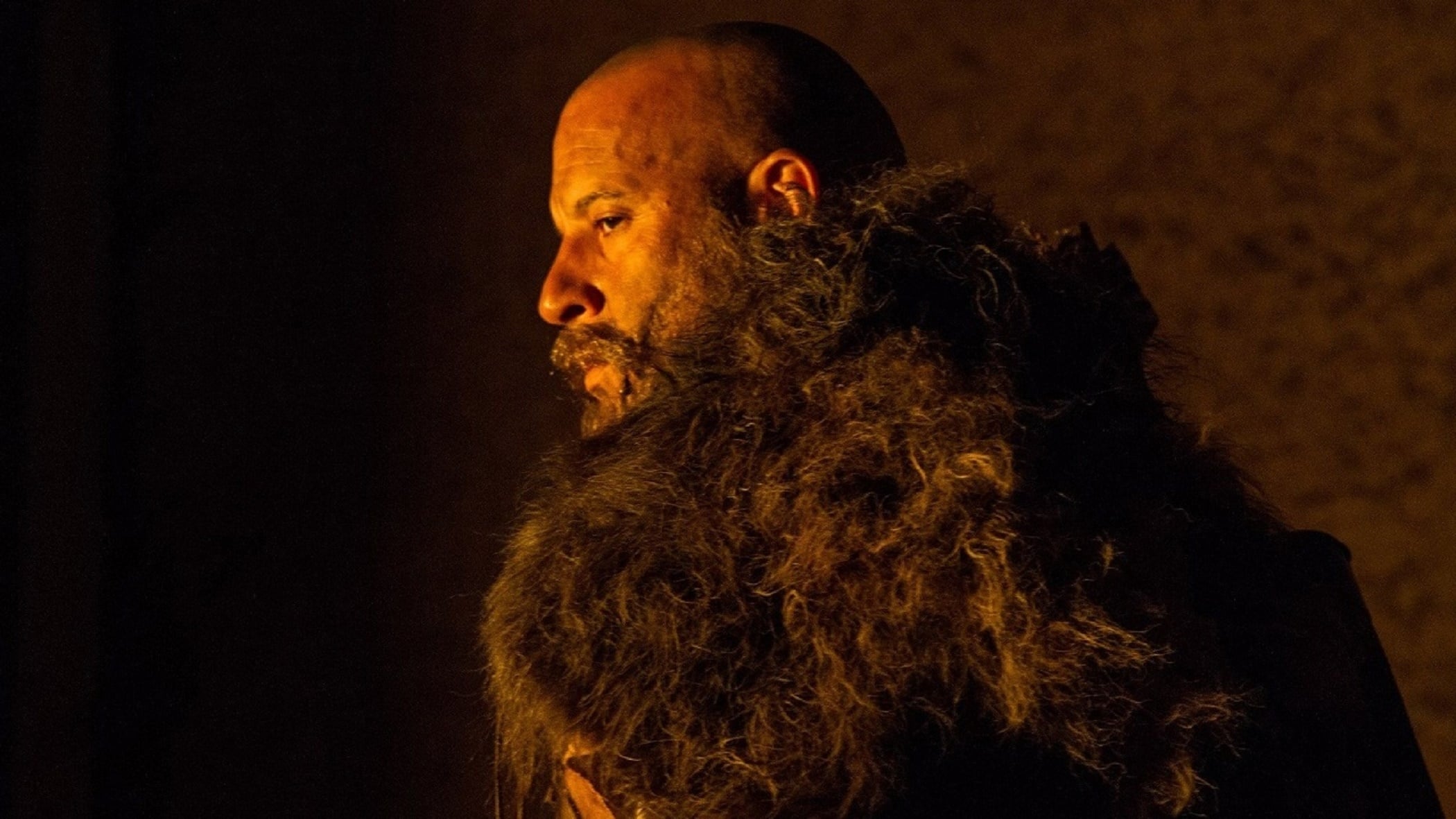 The Last Witch Hunter