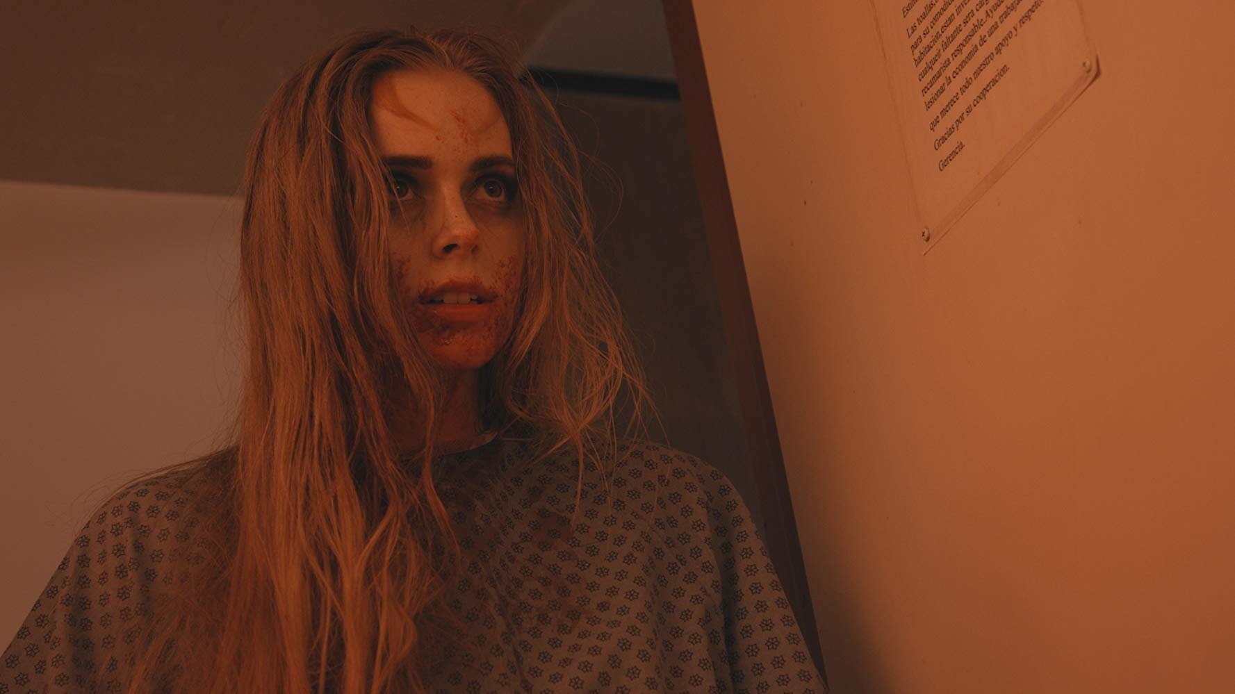 Araniella (2019)