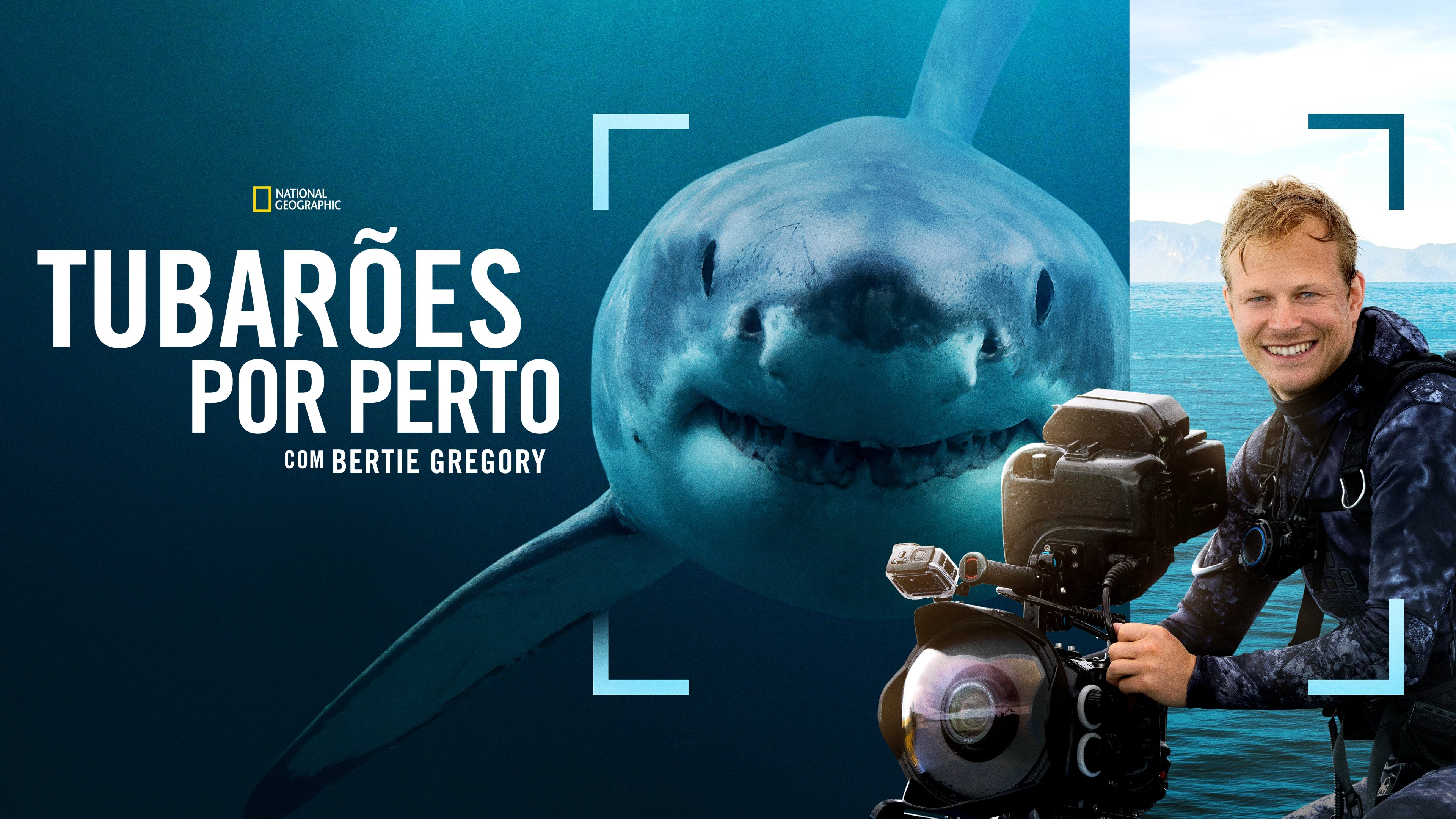 Sharks Up Close with Bertie Gregory backdrop