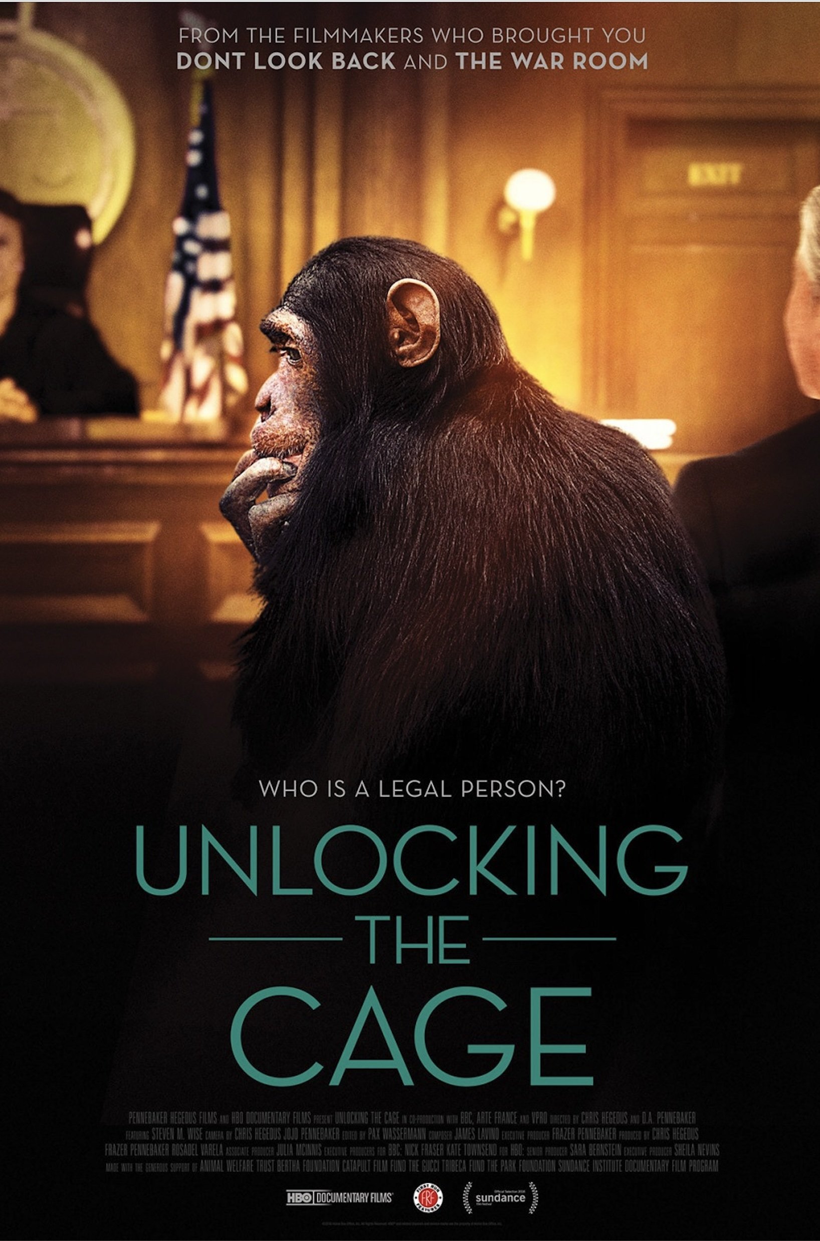 Unlocking the Cage