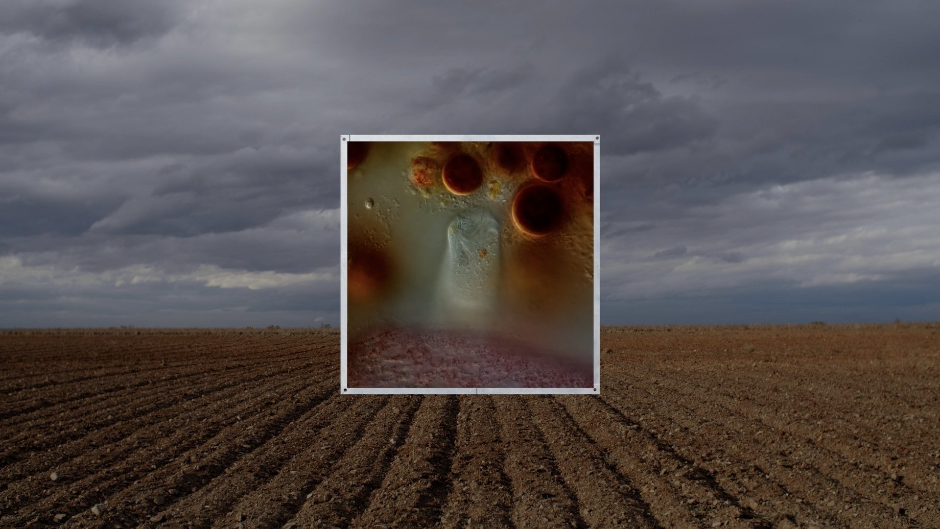 STRATA INCOGNITA (2023)