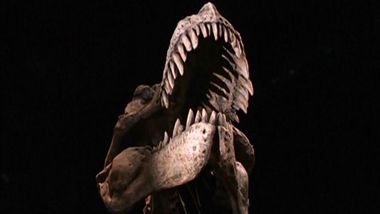 The Dinosaur Hunter (2000)