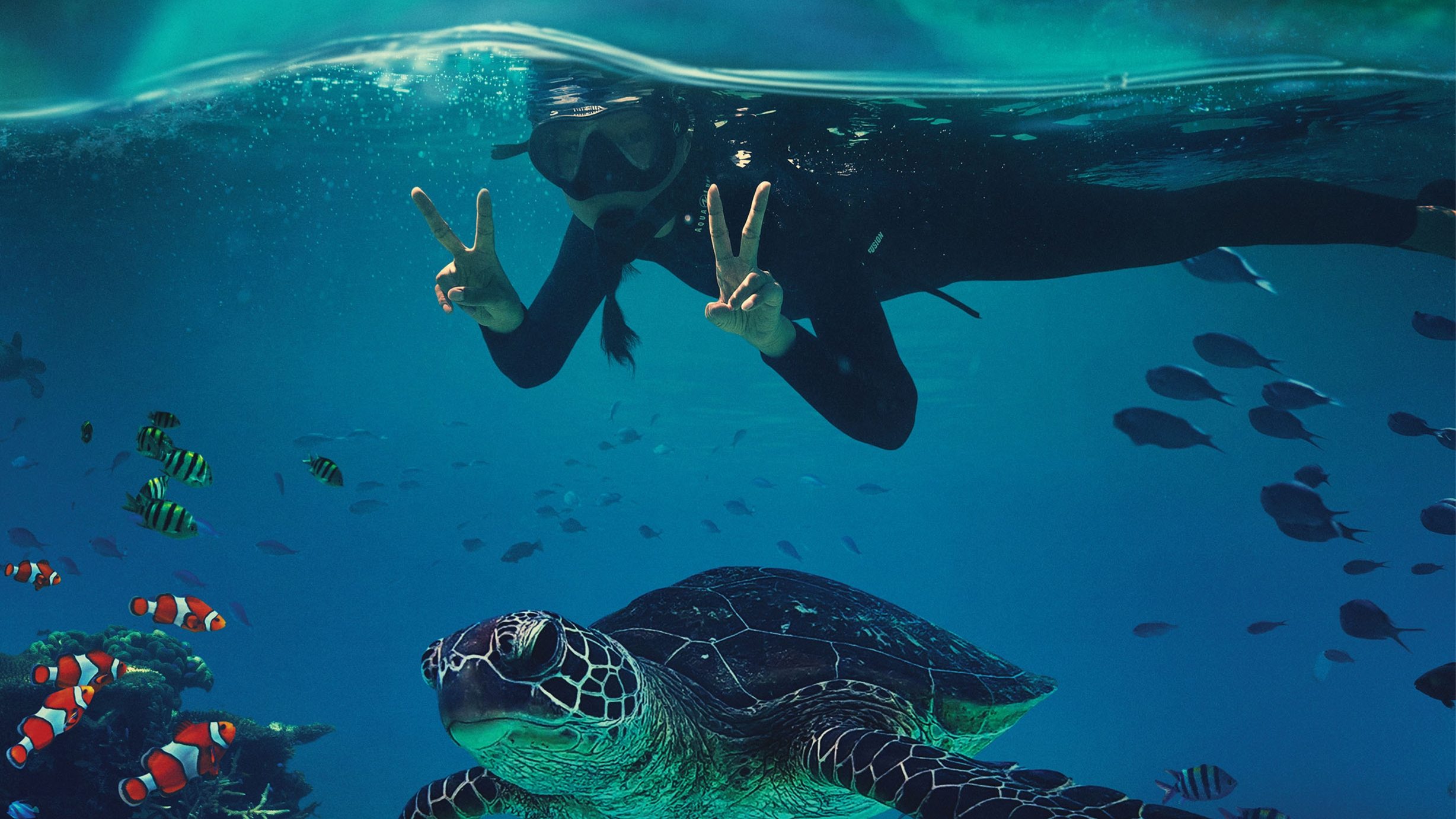 Beyond the Reef (2022)