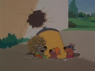 Help!... It's the Hair Bear Bunch!
