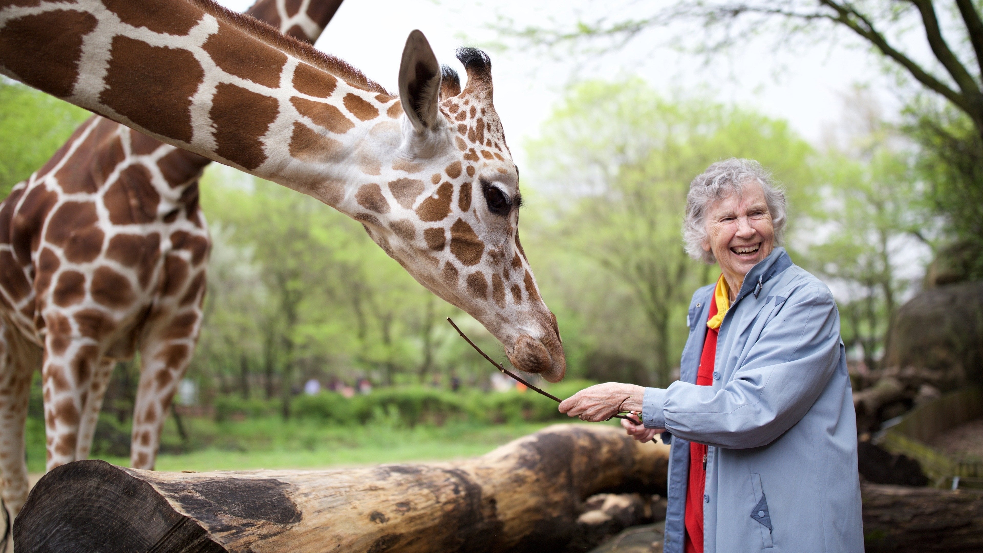 The Woman Who Loves Giraffes (2018)