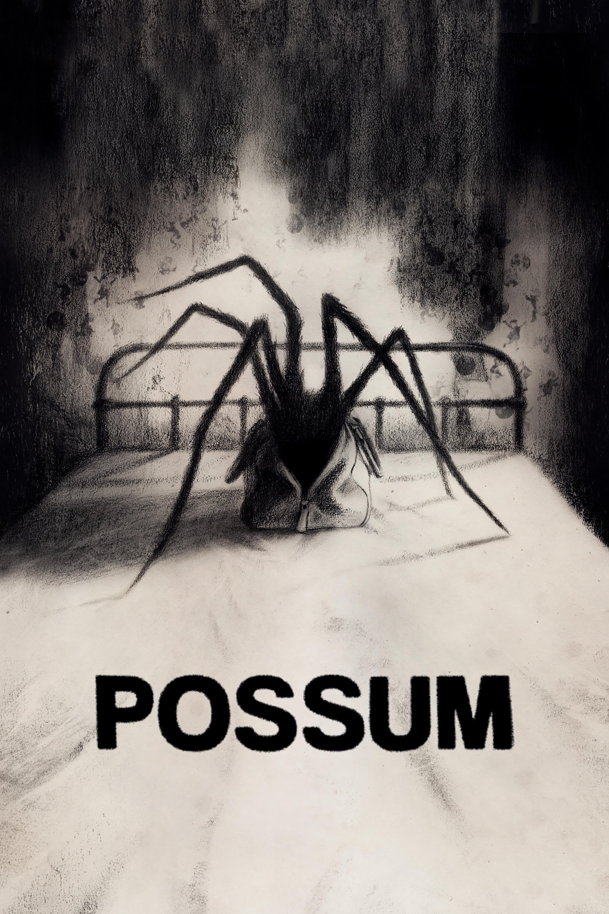 Possum