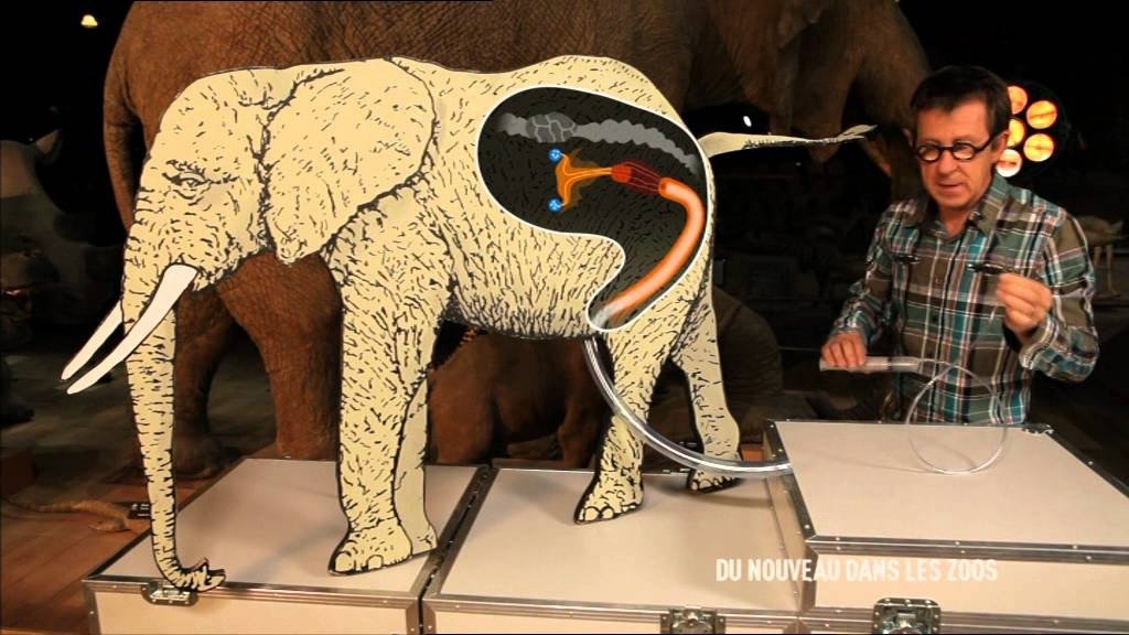 C'est pas sorcier - Du nouveau dans les zoos
