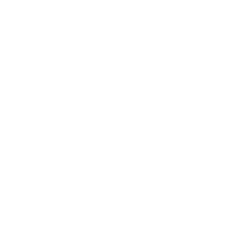Nazi Love Camp 27 Logo