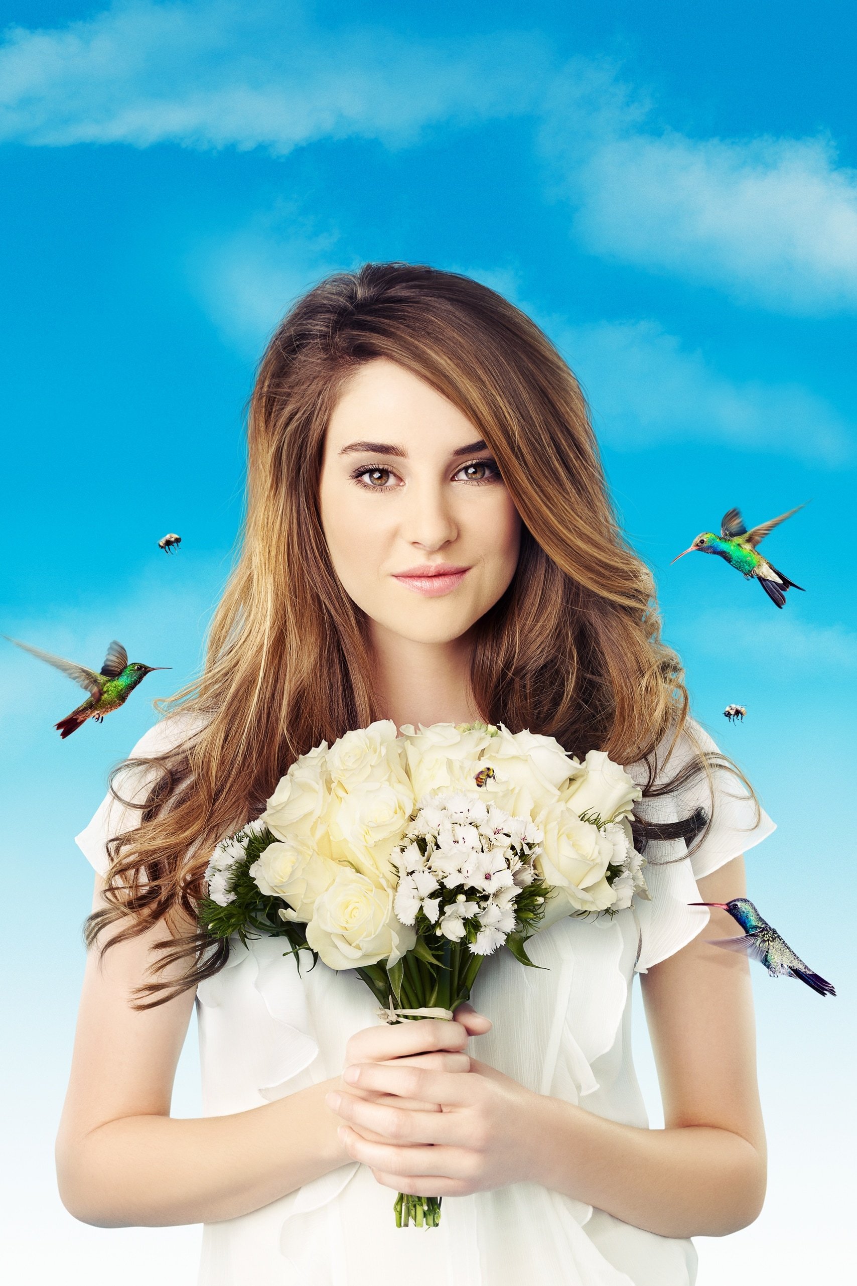 TMDB Image