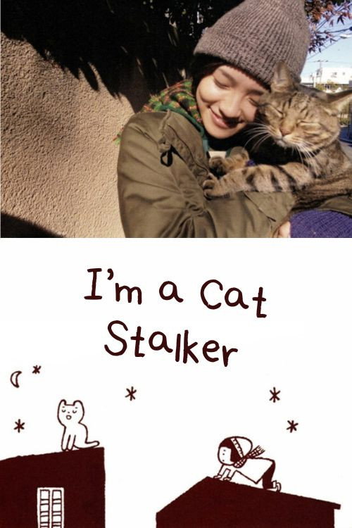 I&rsquo;m a Cat Stalker