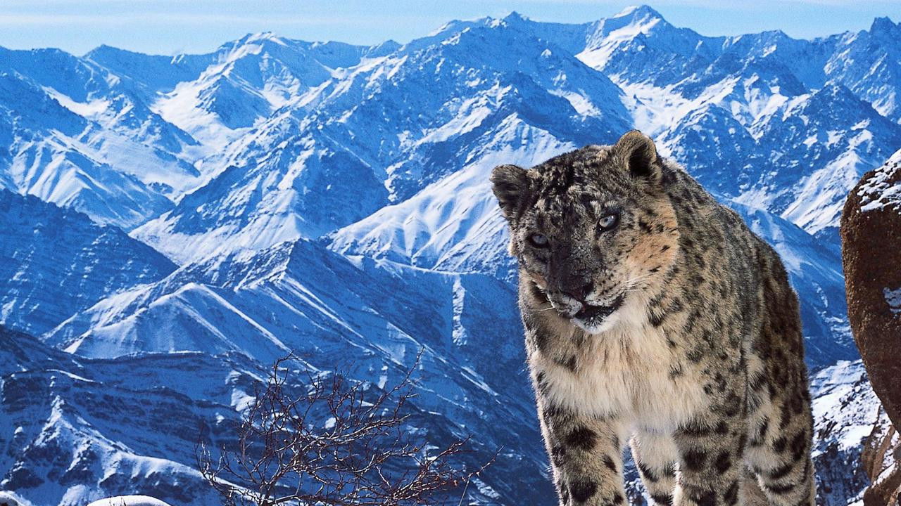 Terra X - Eine Erde viele Welten Season 1 :Episode 3  Episode 3