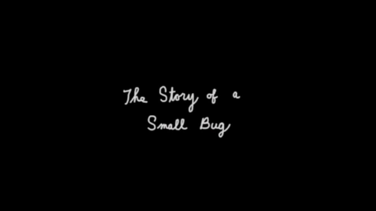 Thumbnail for The Story of a Small Bug Season 1 Episode 3