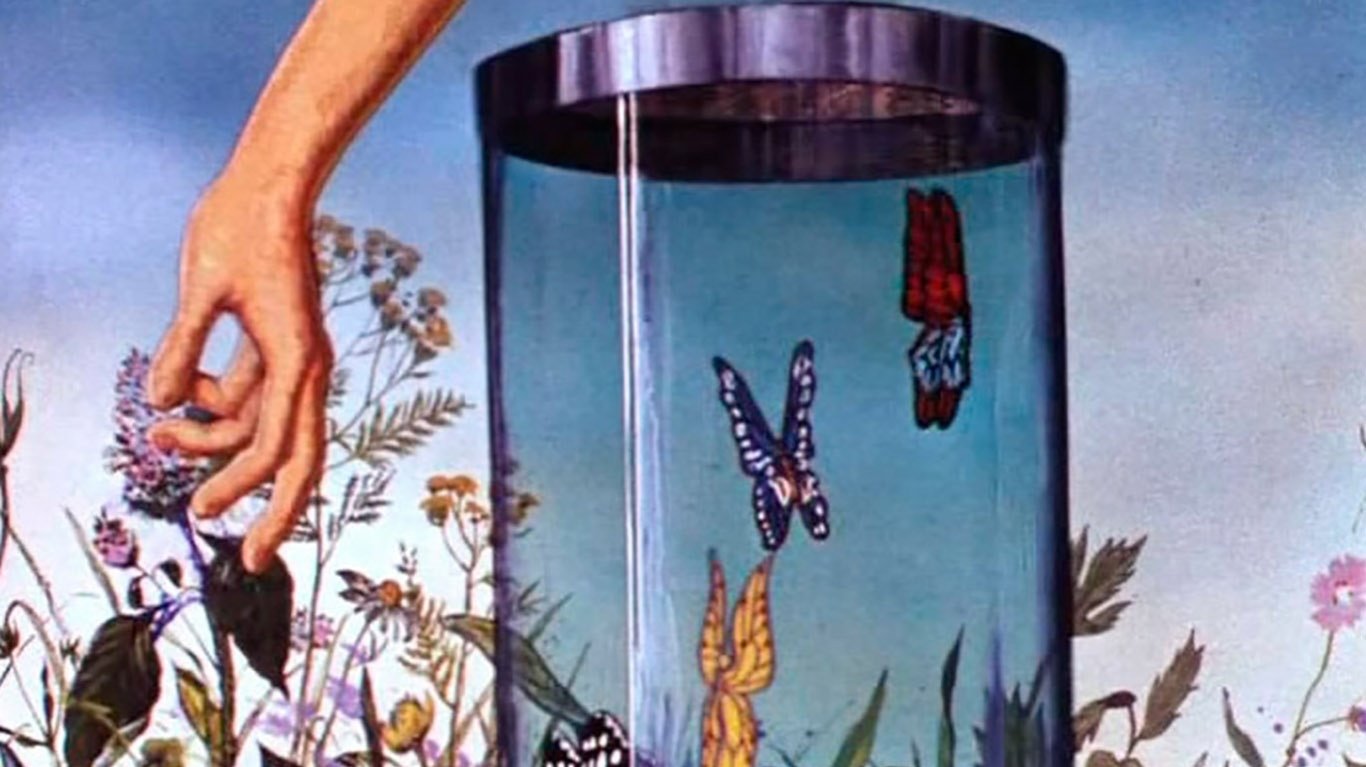 Butterfly (1972)