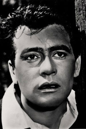 et billede af Vasile Ichim