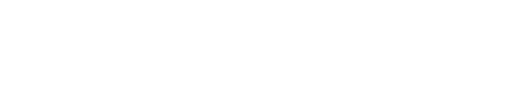 Terminator 0