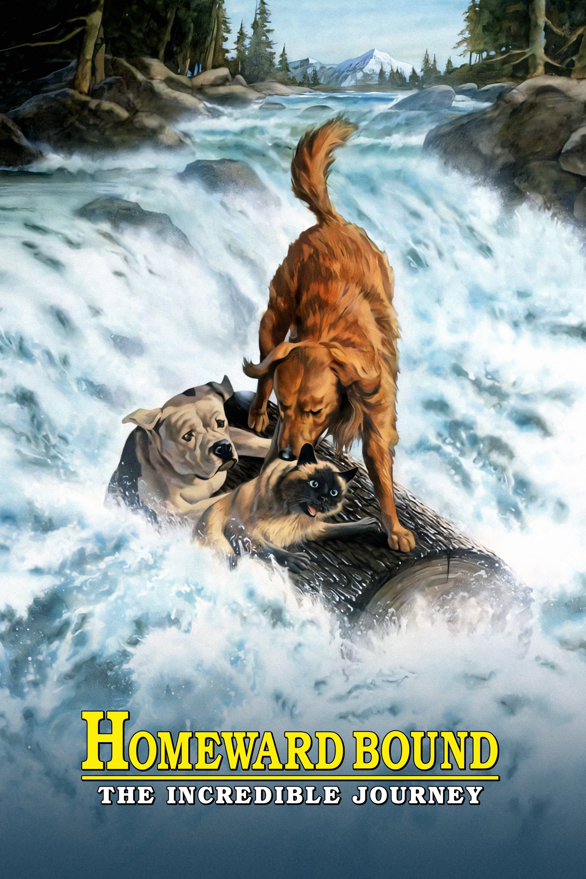 Homeward Bound: The Incredible Journey