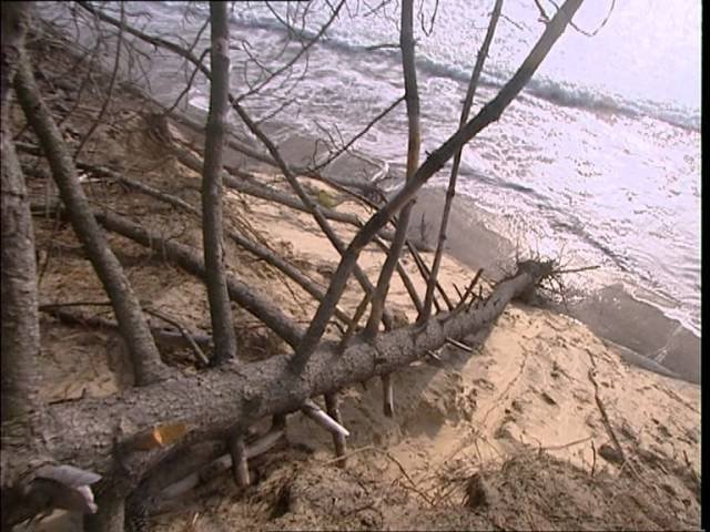 C'est pas sorcier - Le sable : les sorciers veillent au grain